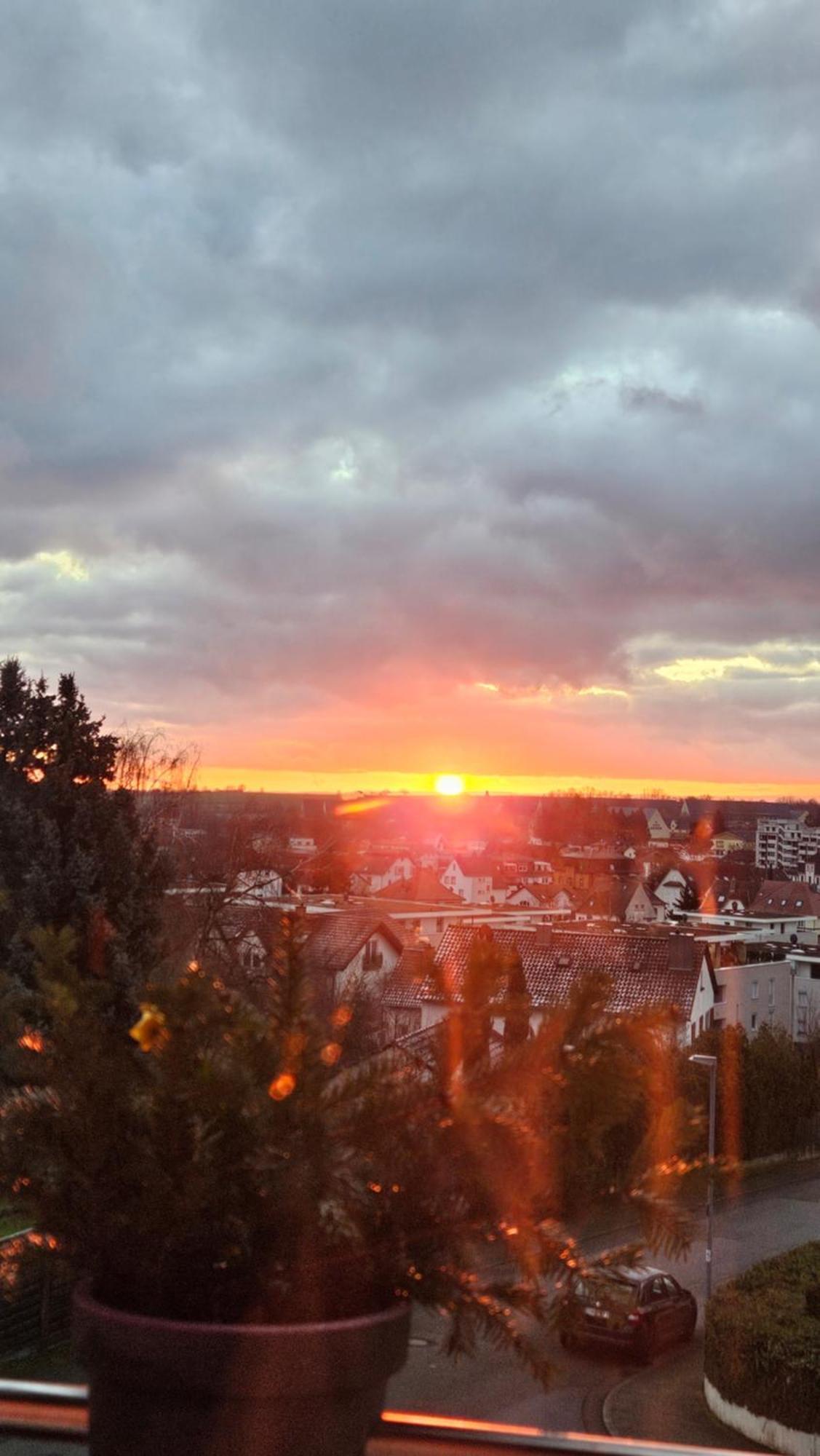 Appartement An Der Weinstrasse Bad Bergzabern Dış mekan fotoğraf